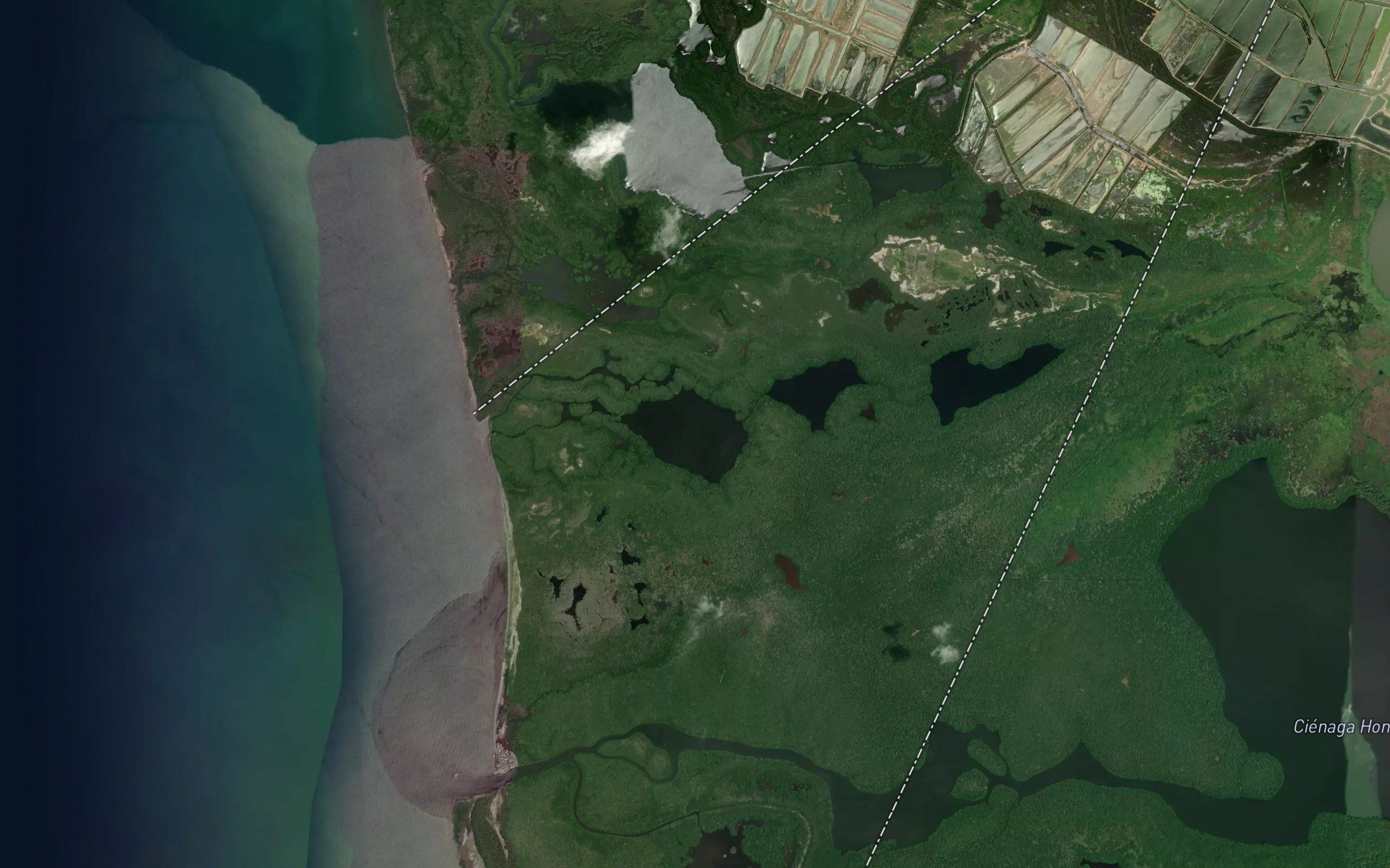 Cienaga Cotorra