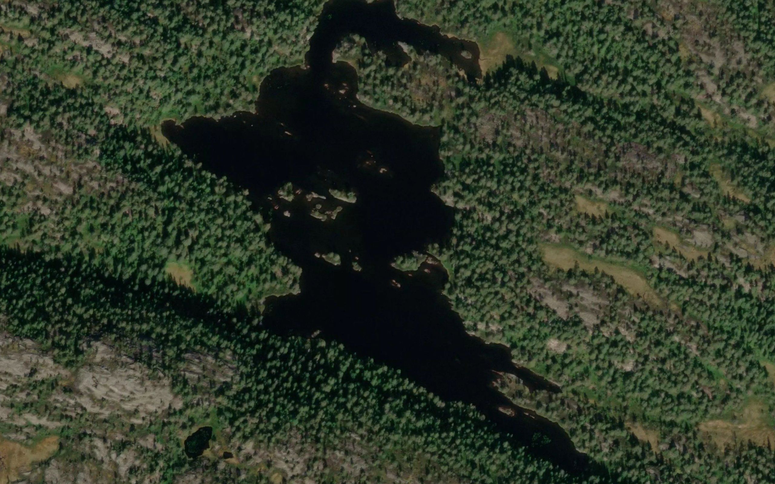 Magestoyltjonn,ovre