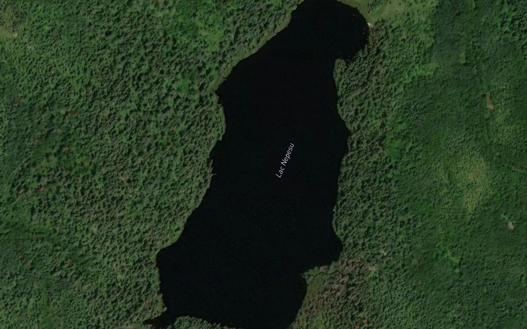 Satellite map of the Lac Nepesu