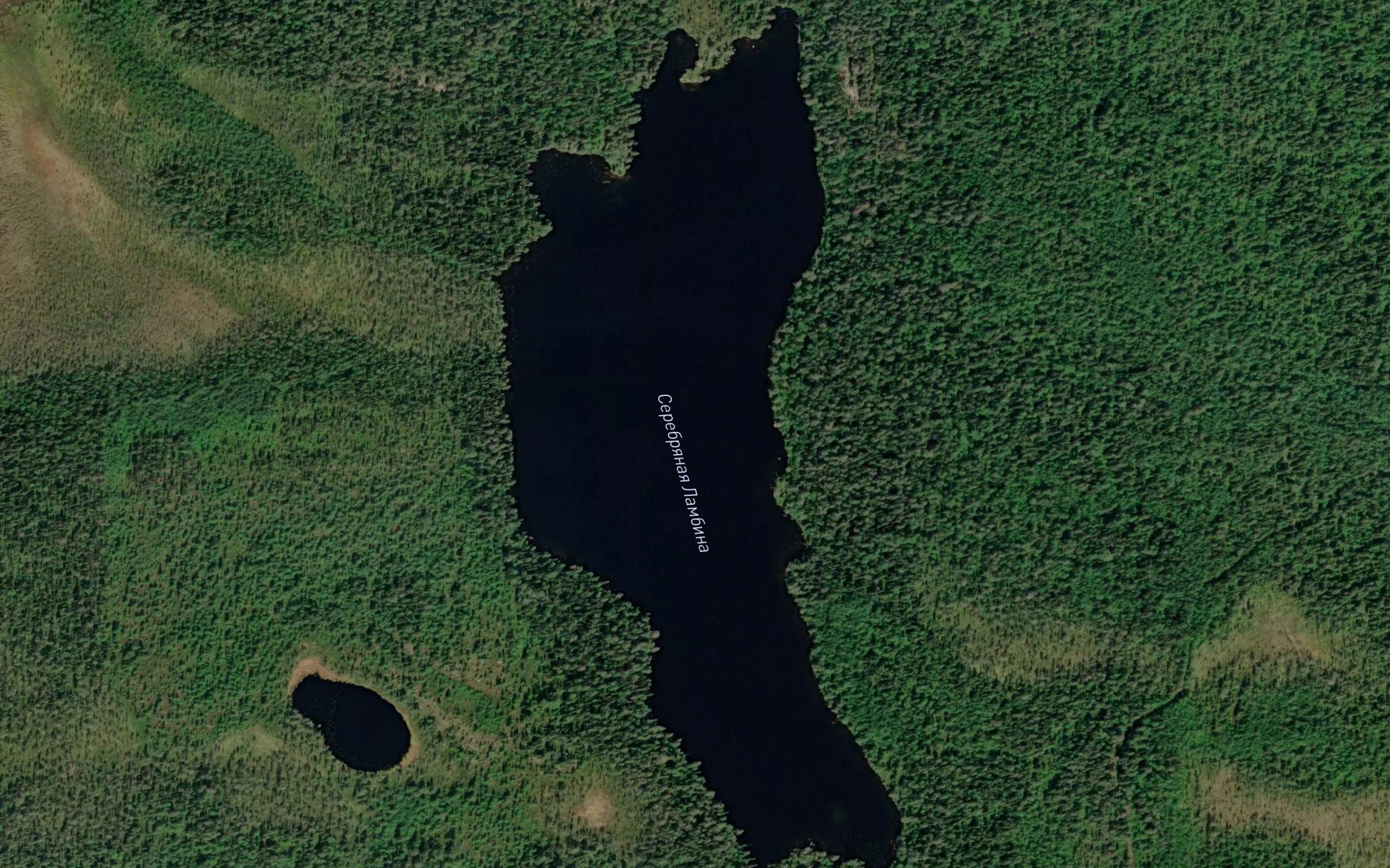 Ozero Serebryanaya Lambina