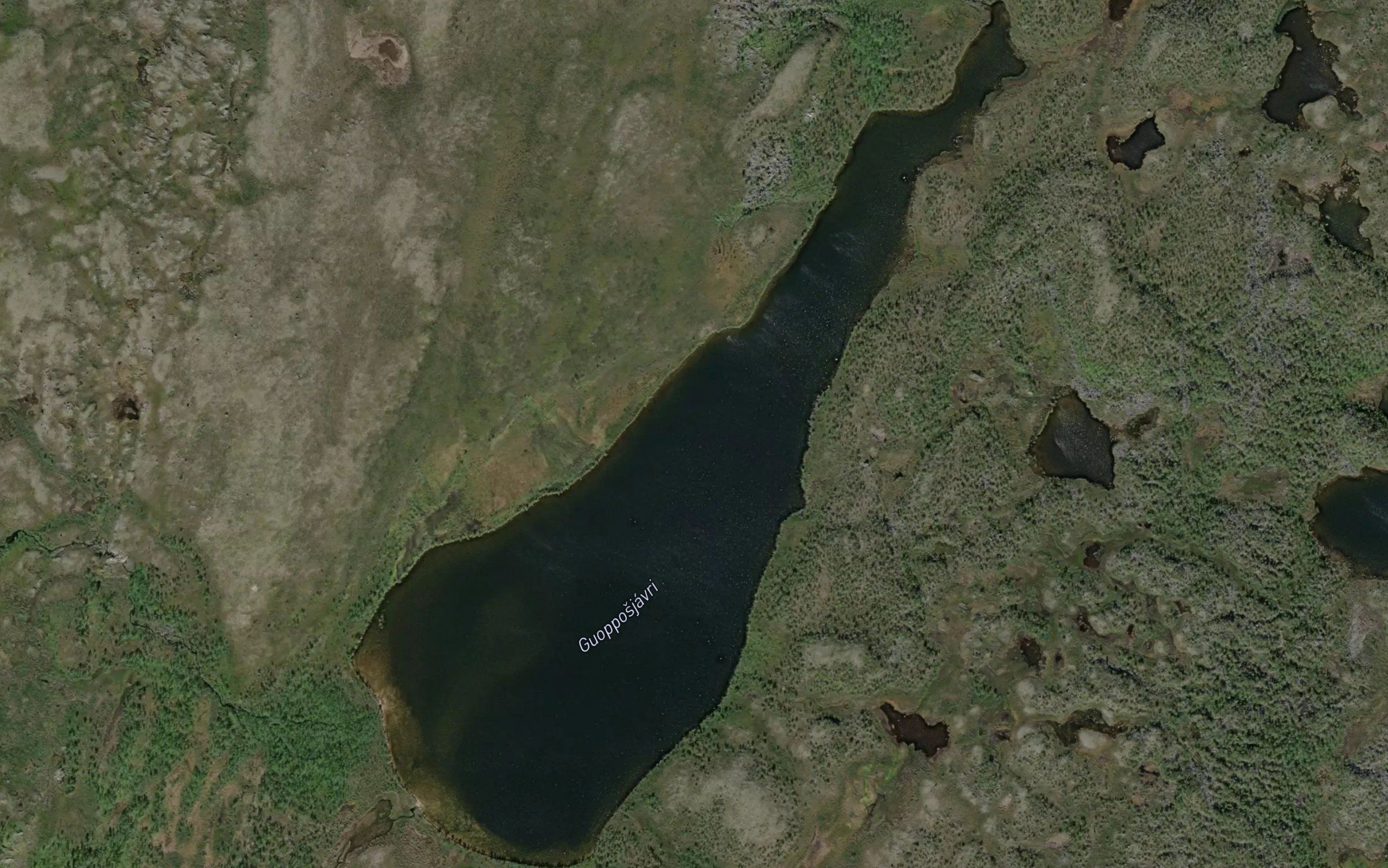 Guobbusjavri