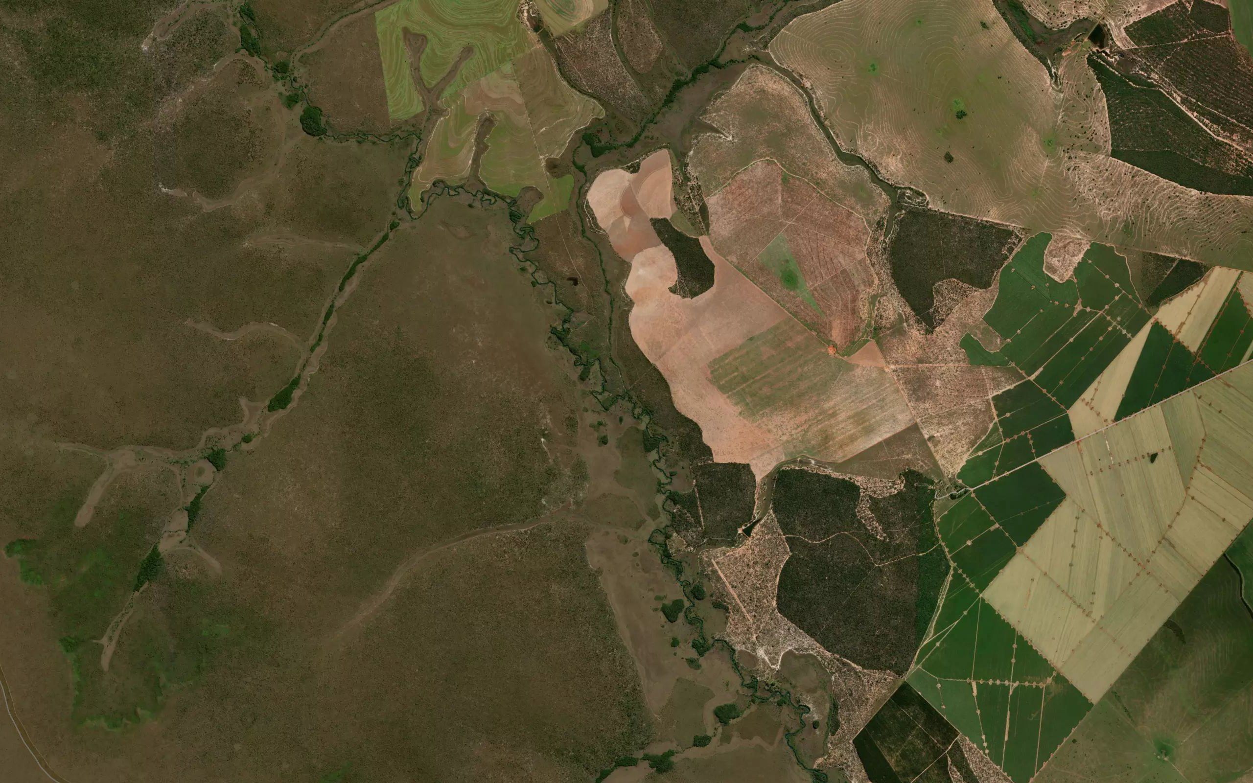 Ribeiraozinho
