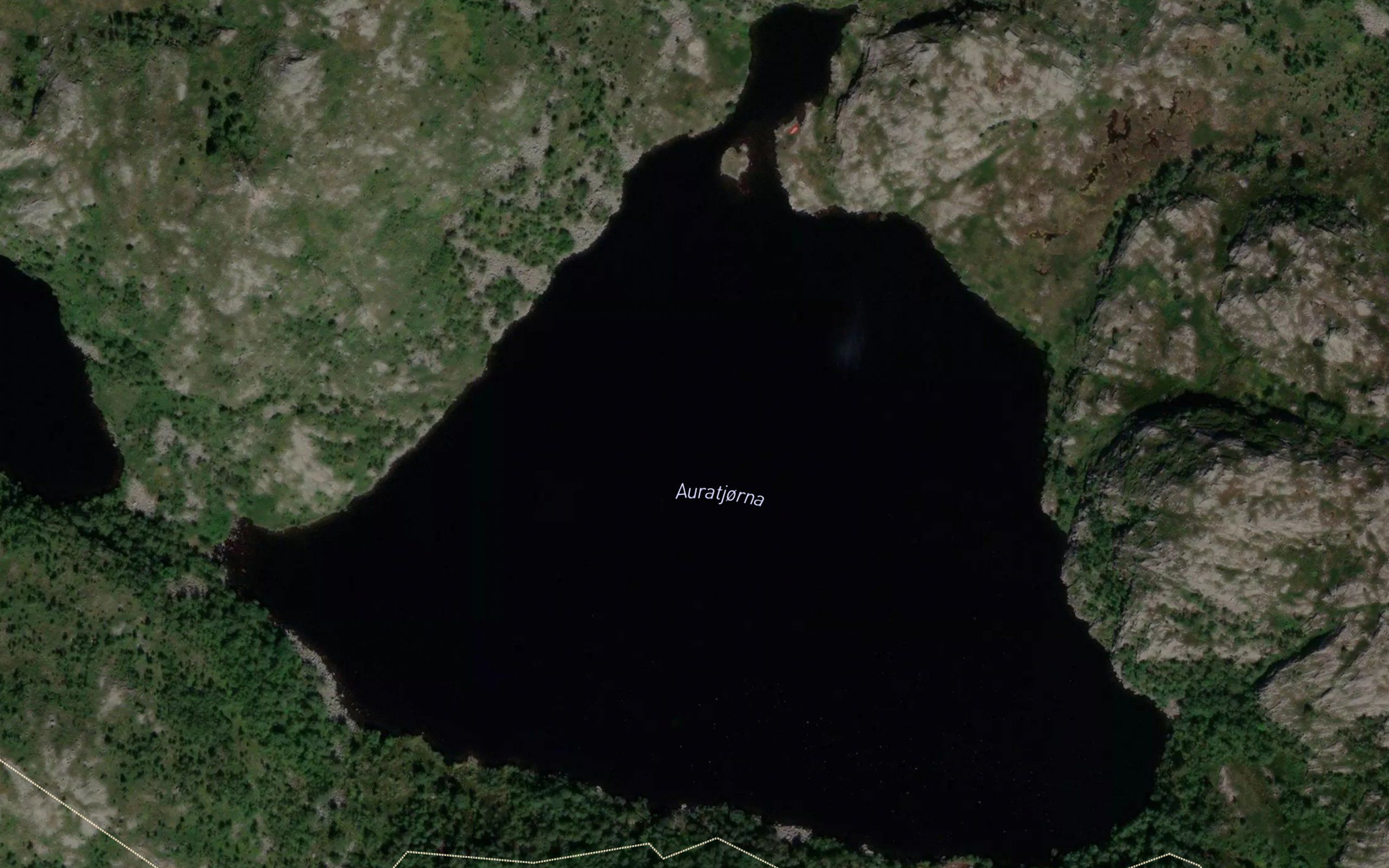 Aurelitjorn