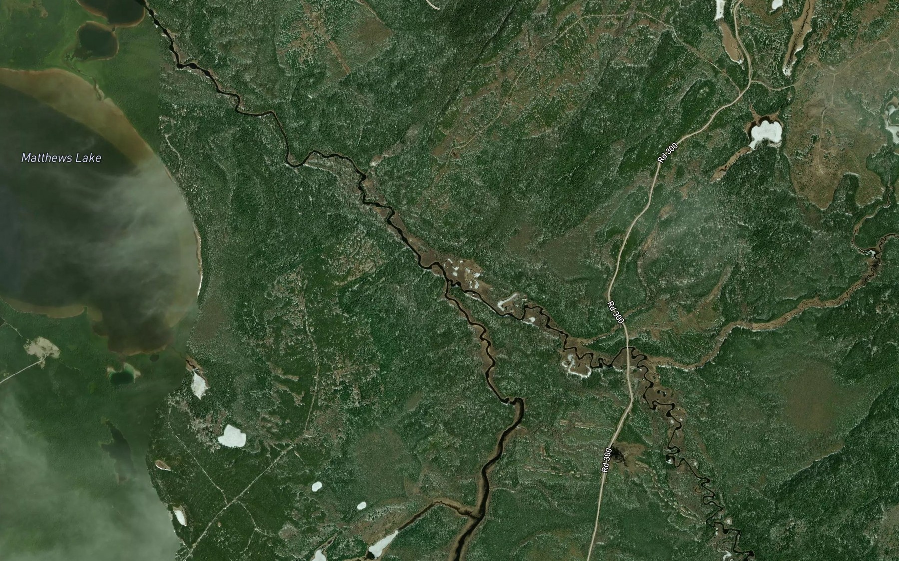 Satellite map of the Strickland River