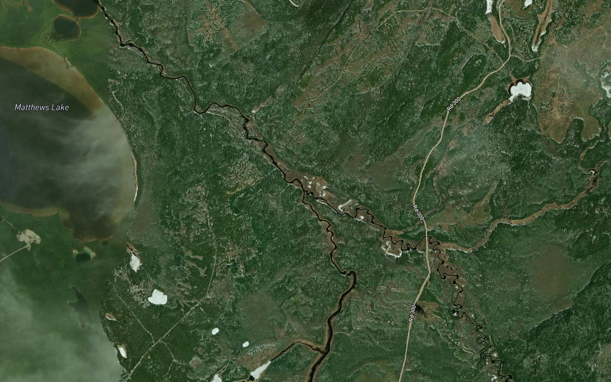 Strickland River