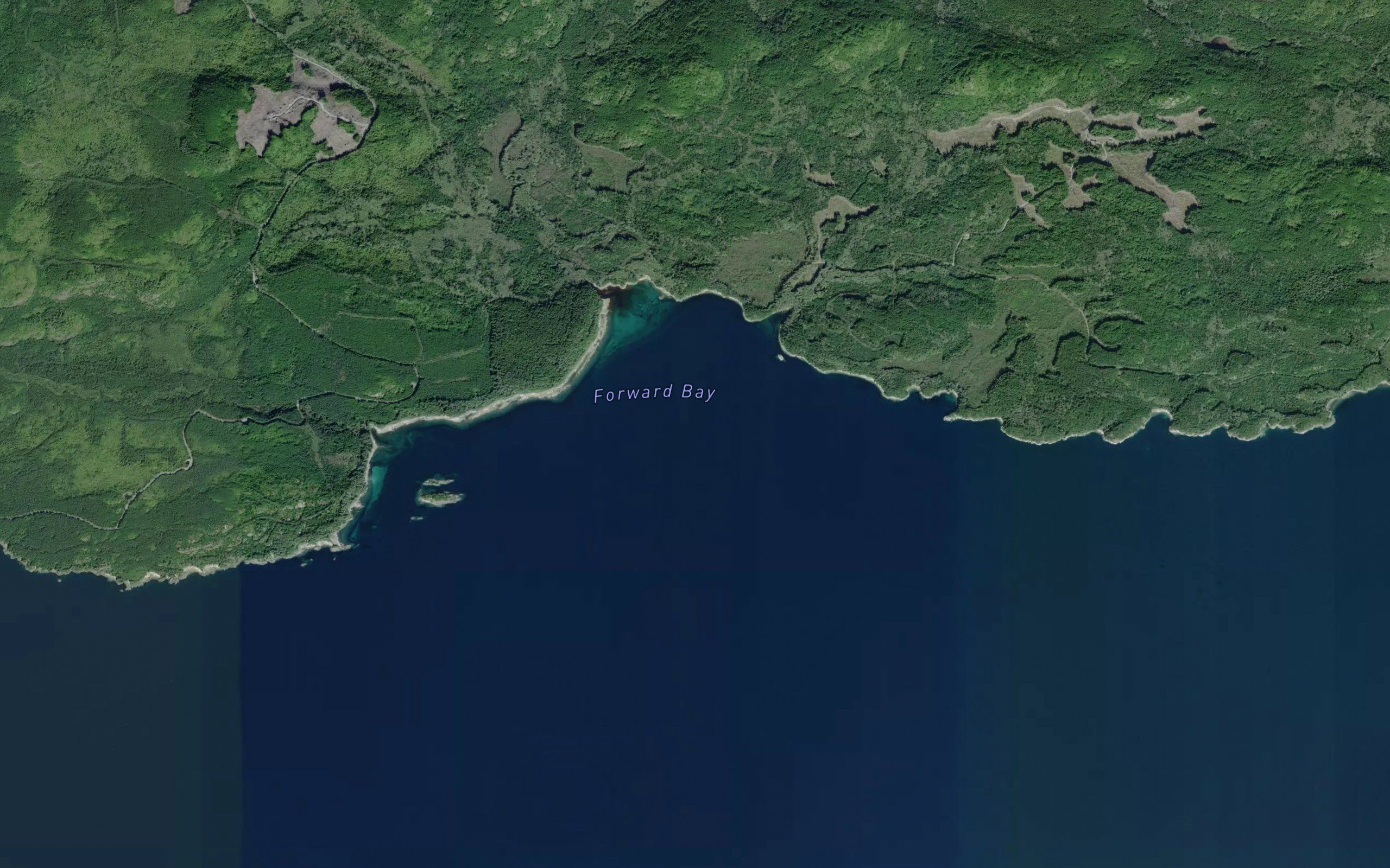 Forward Bay