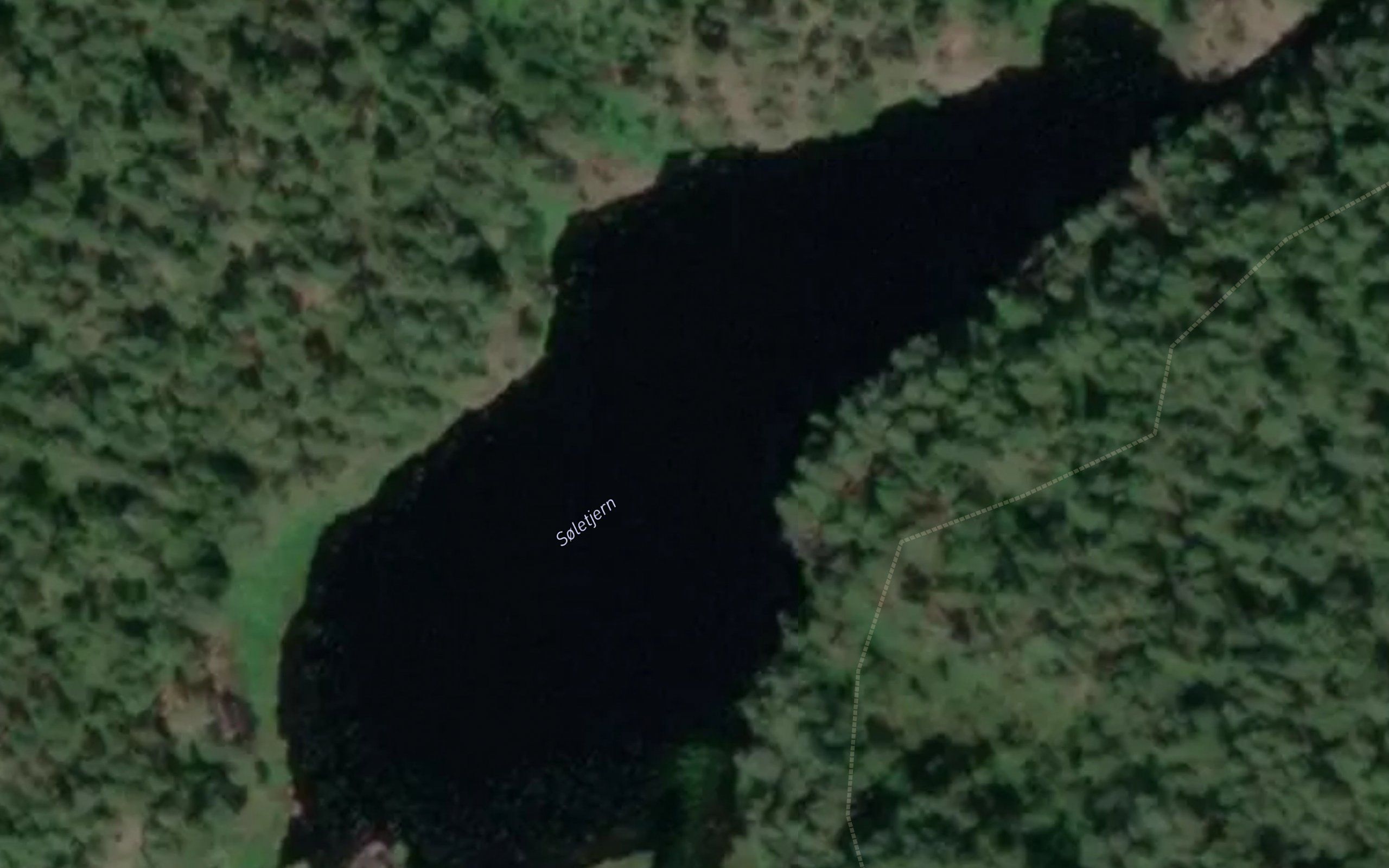 Soletjern