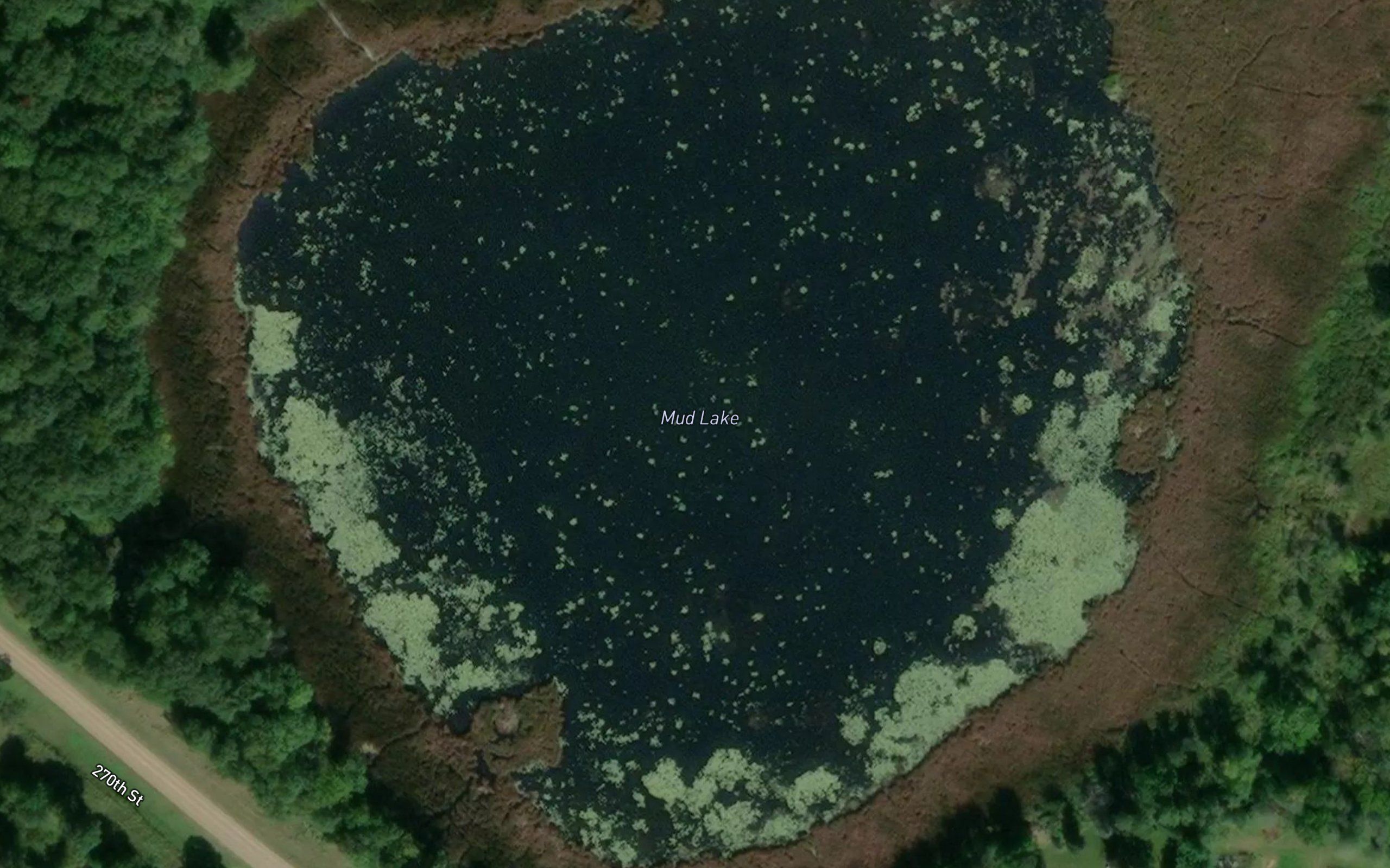 Mud Lake