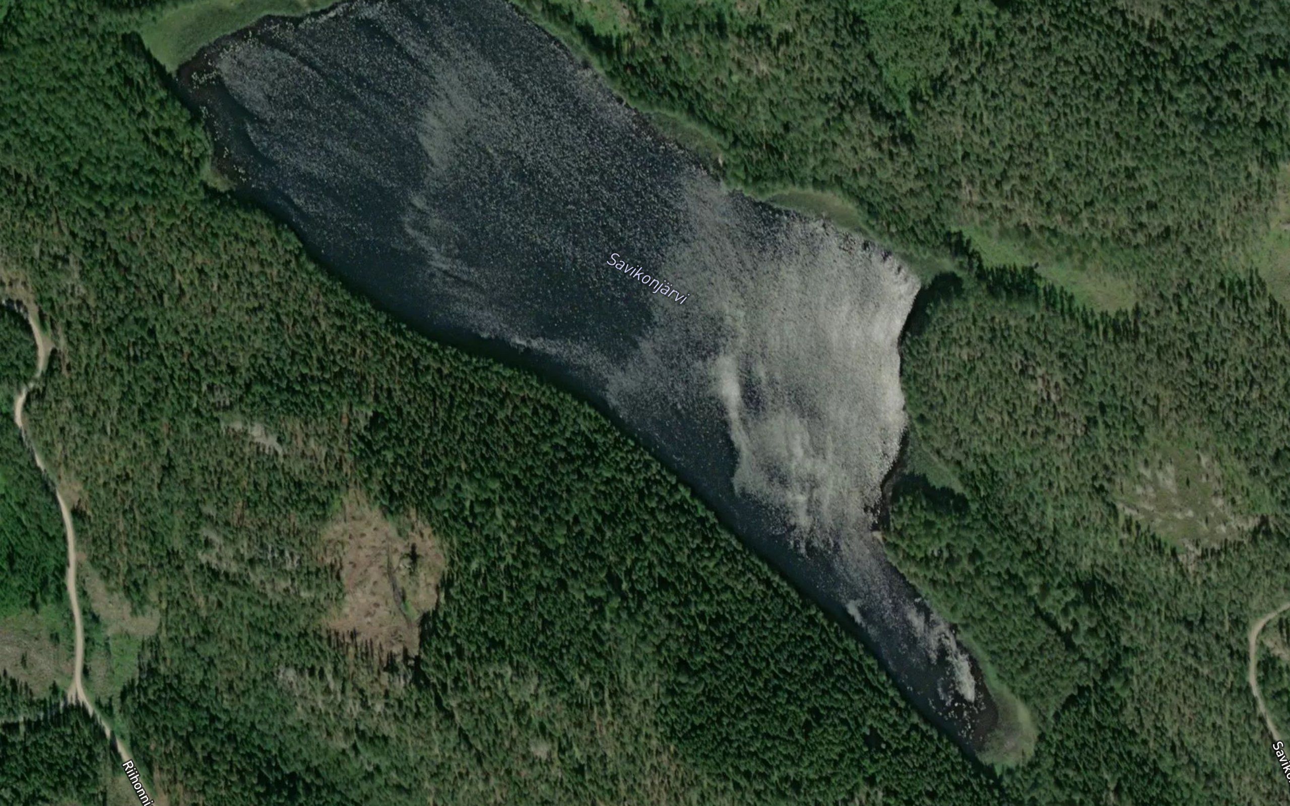 Savikonjarvi