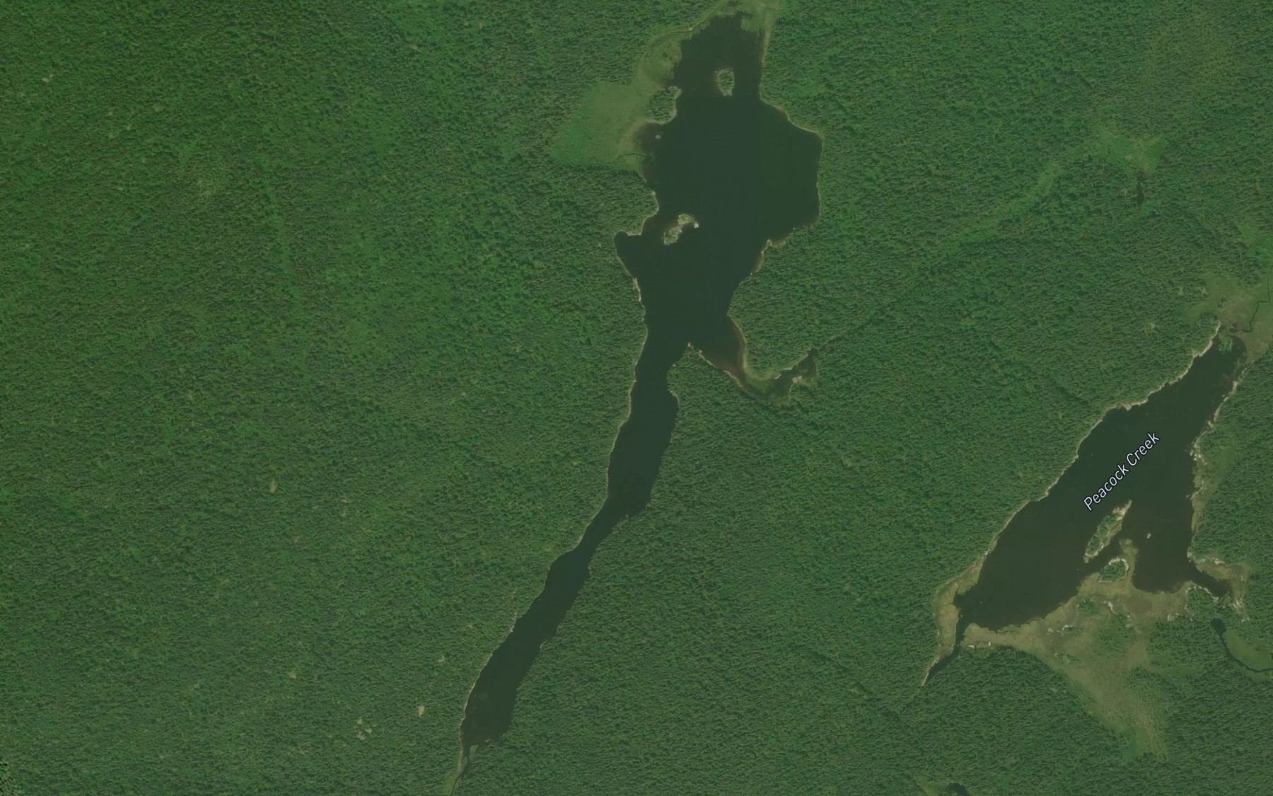 Satellite map of the Peacock Lake