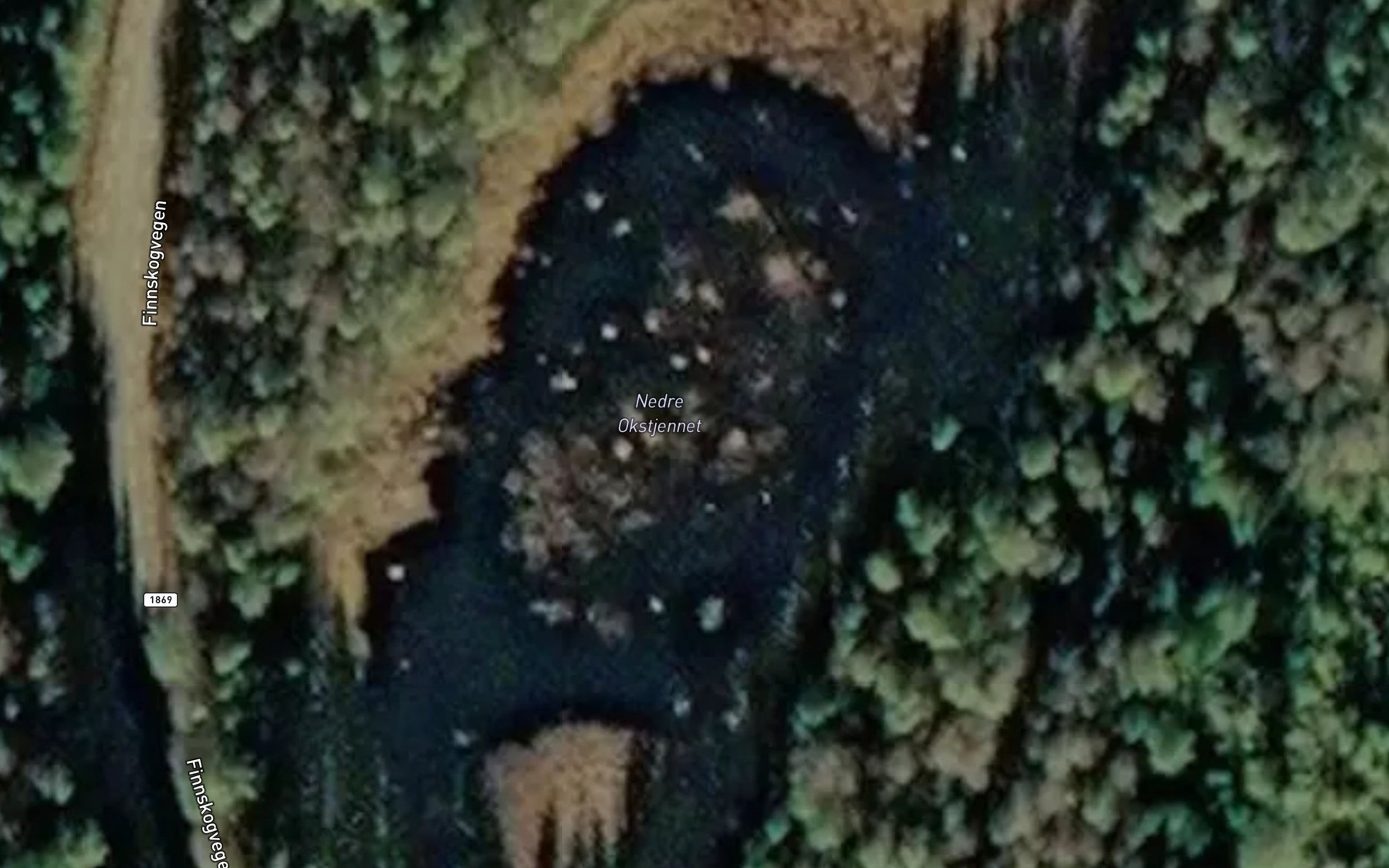 Satellite map of the Nedre Okstjennet