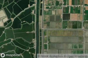 Far` Masrif Bur Sa`id Raqam Wahid