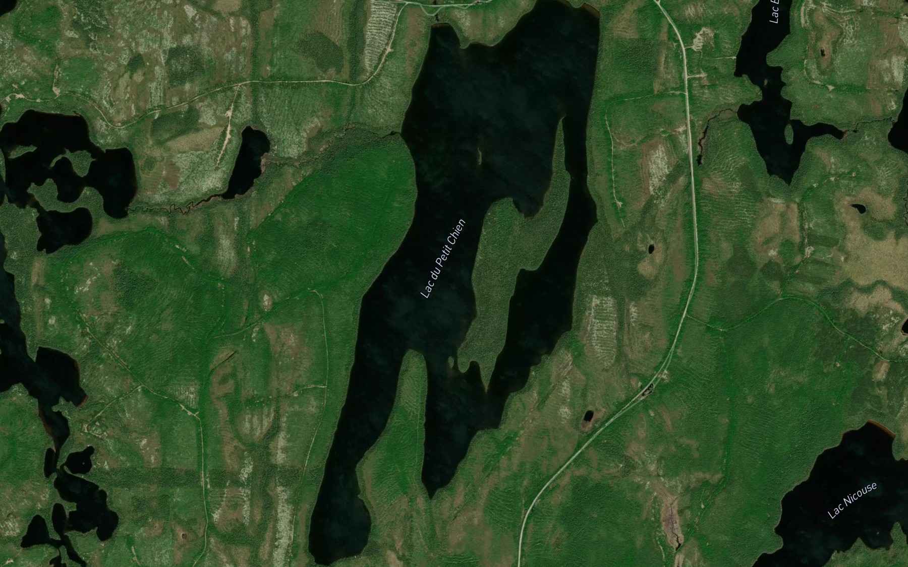 Satellite map of the Lac du Petit Chien