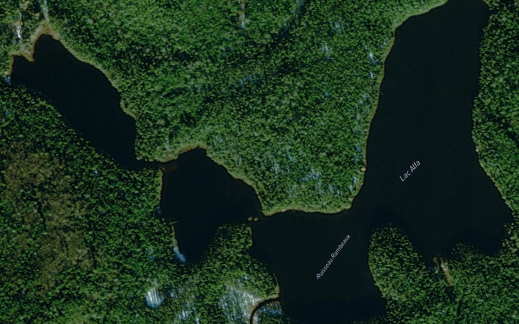 Satellite map of the Lac Alfa