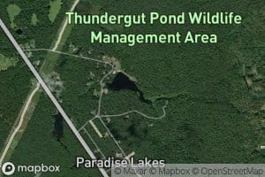 Thundergut Pond
