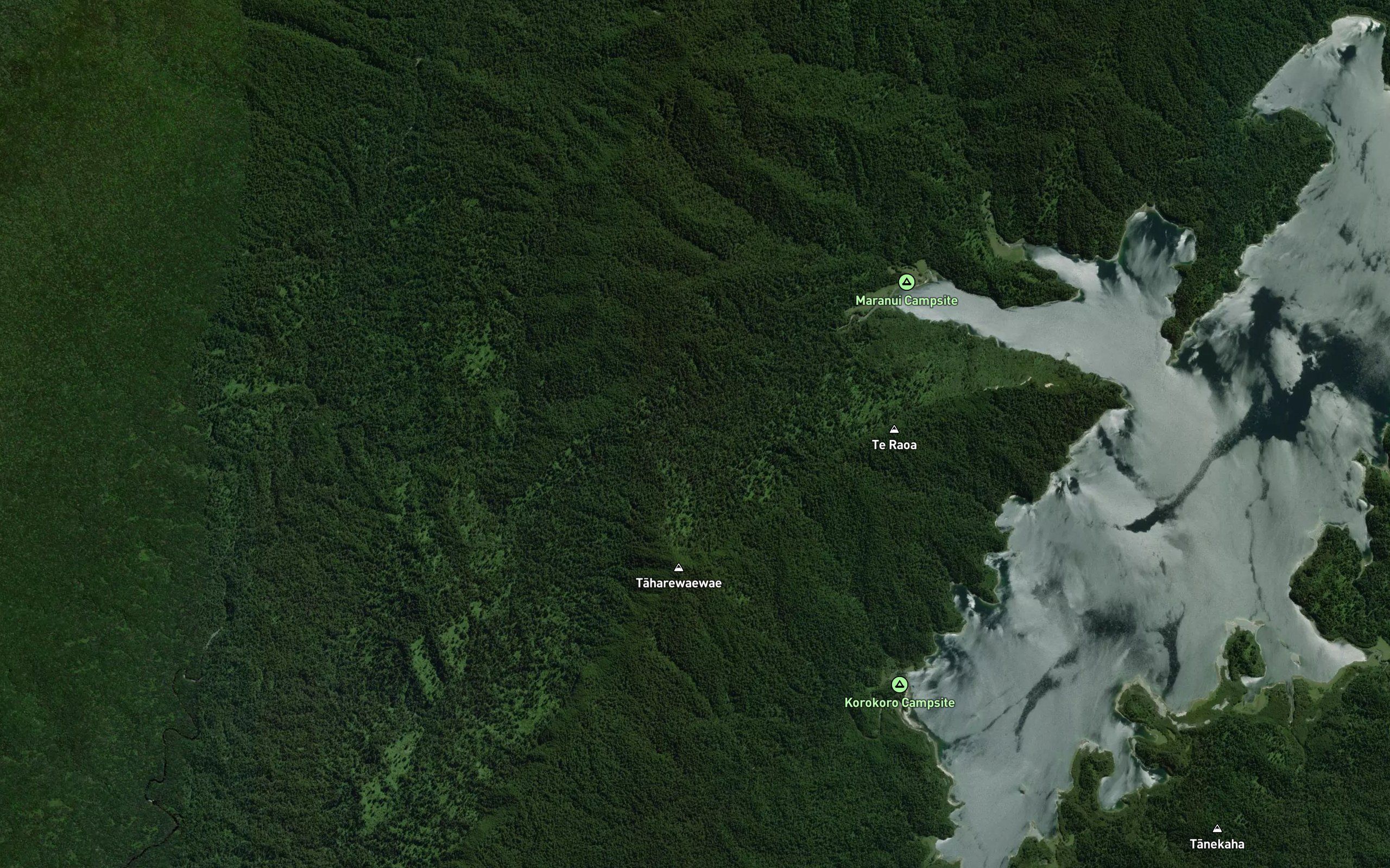 Te Wharau Stream