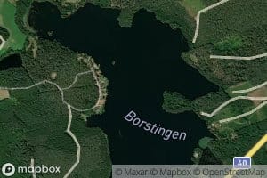 Borstingen