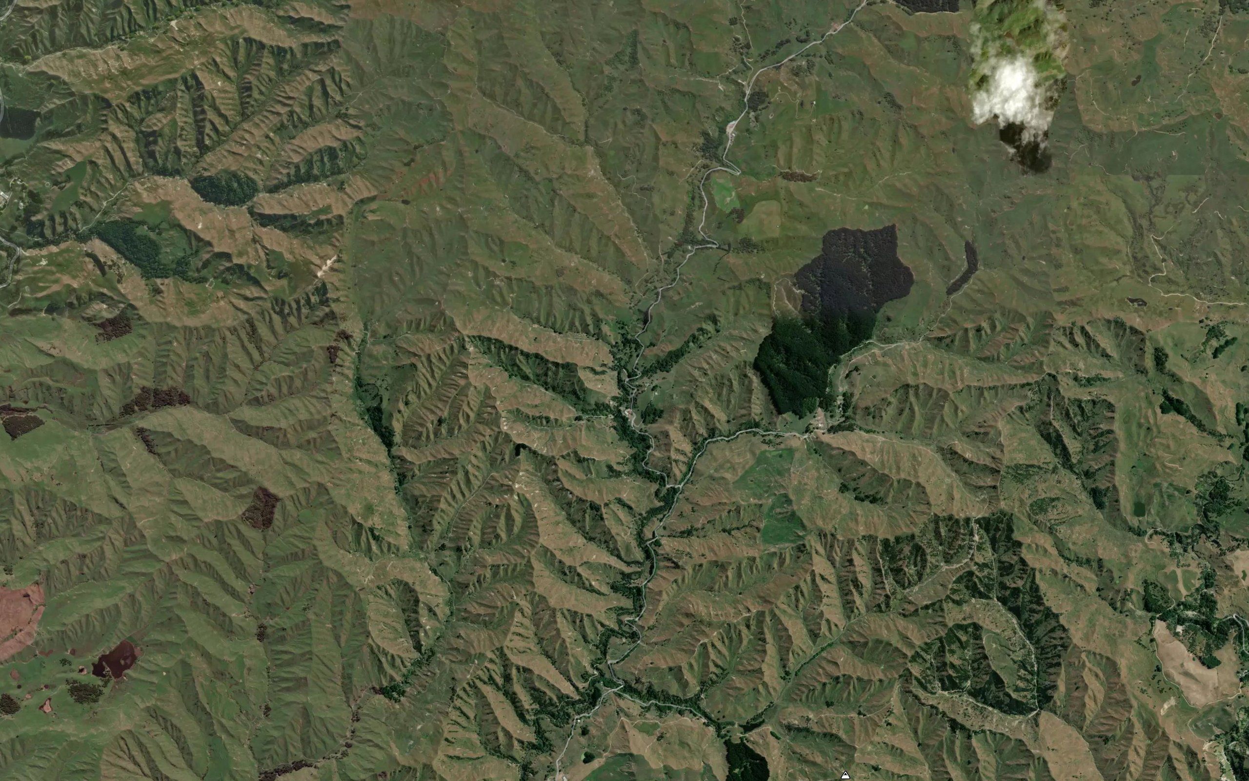 Taheke Creek