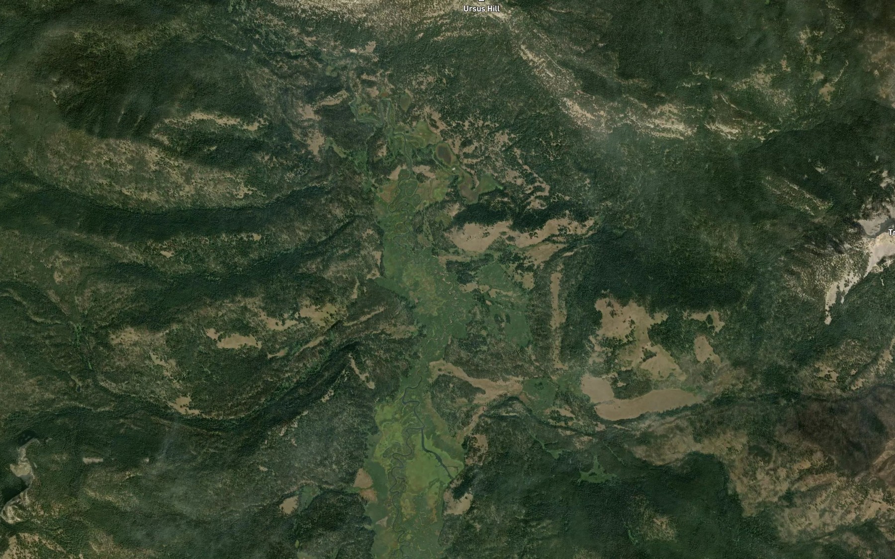 Satellite map of the Spring Creek