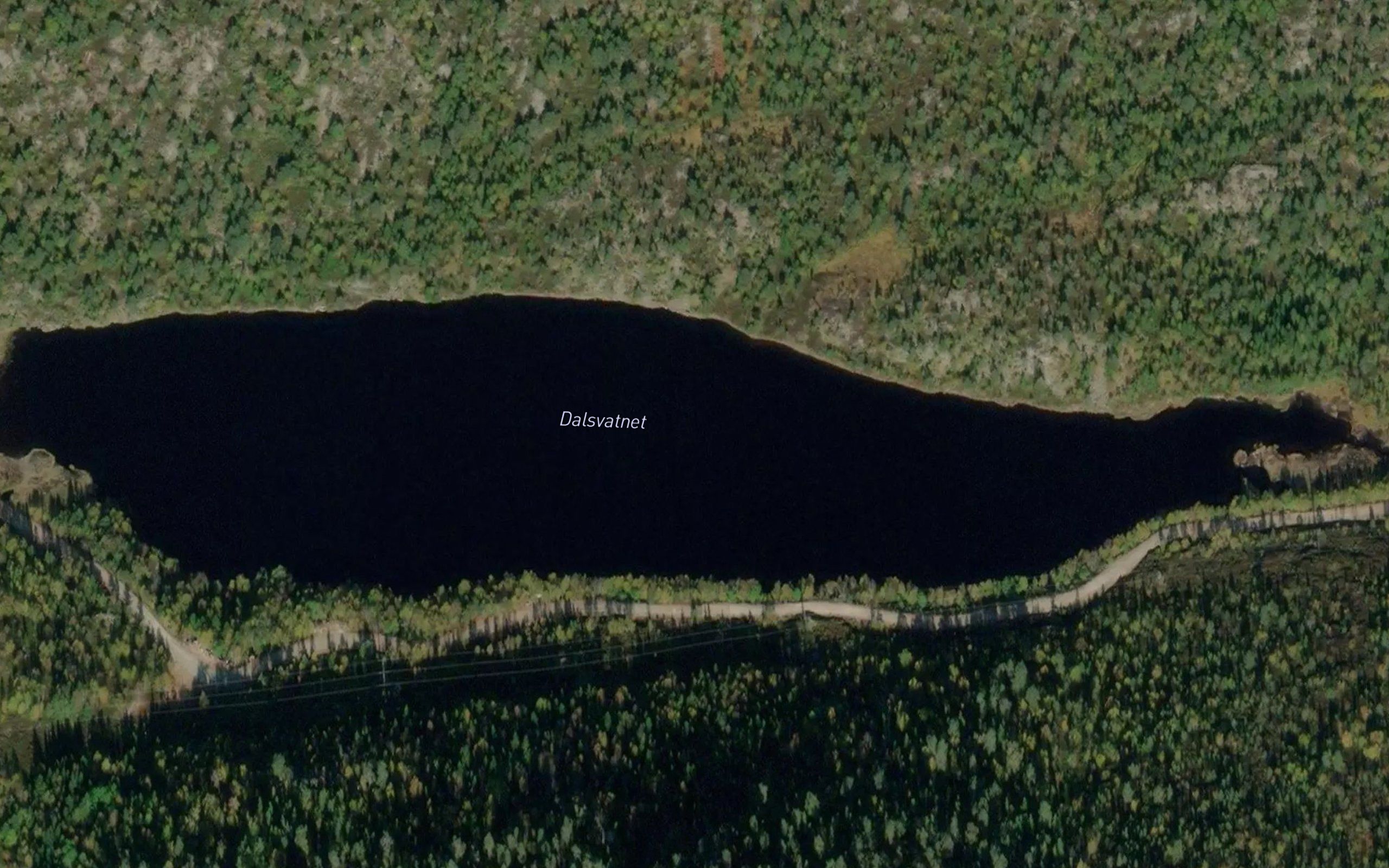 Dalsvatnet