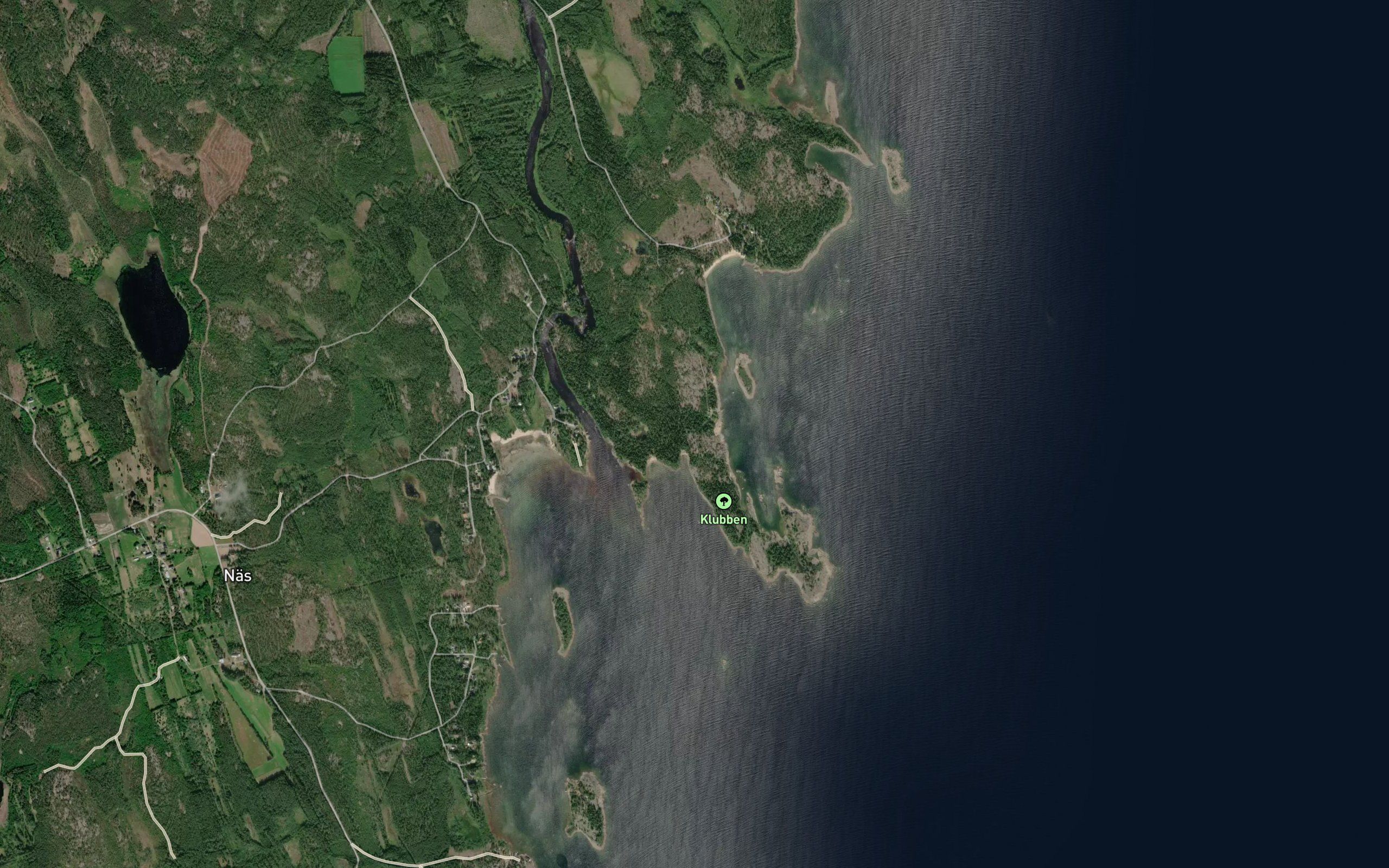 Avaviken