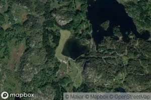 Kragetjorna
