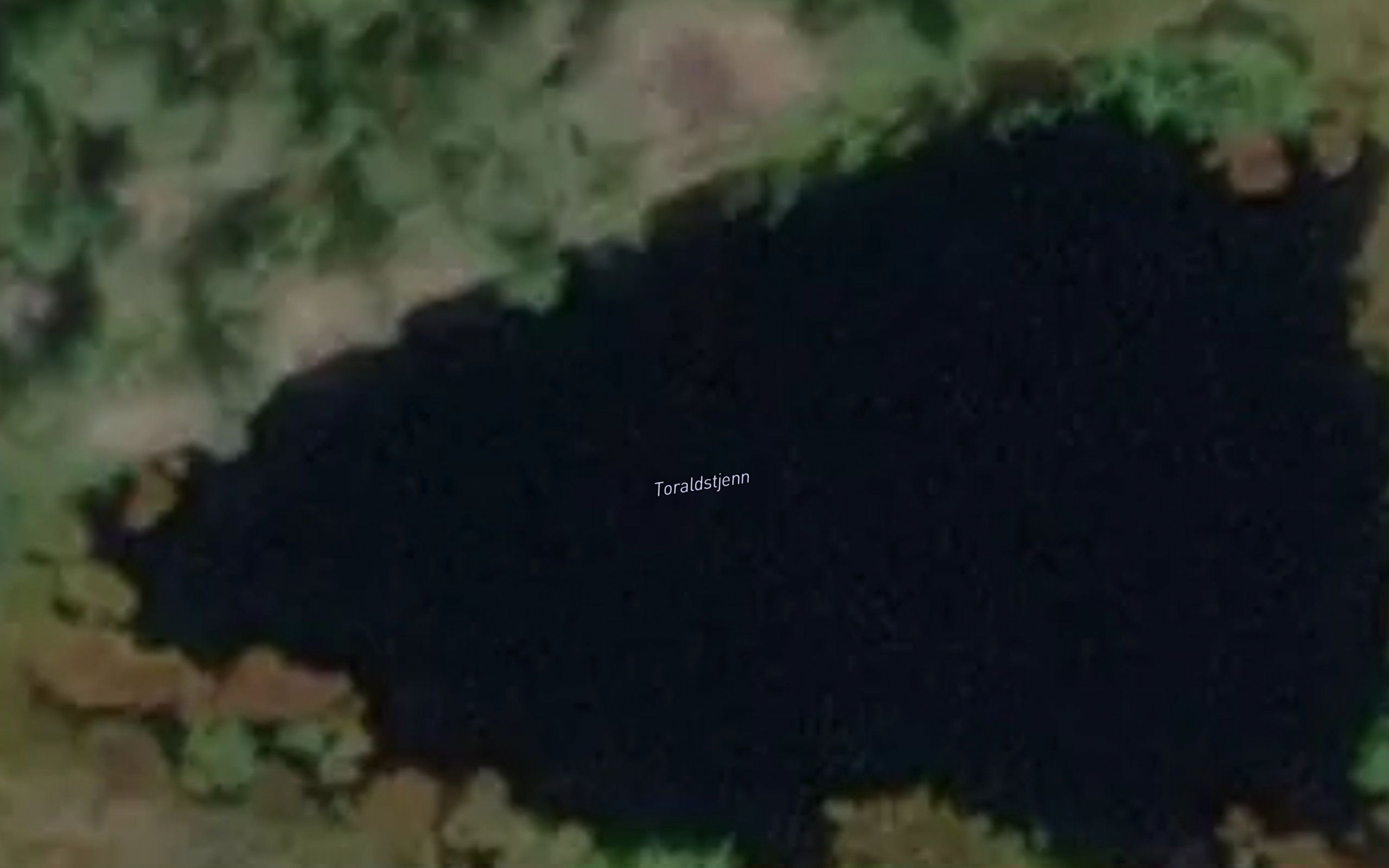 Toraldstjenn