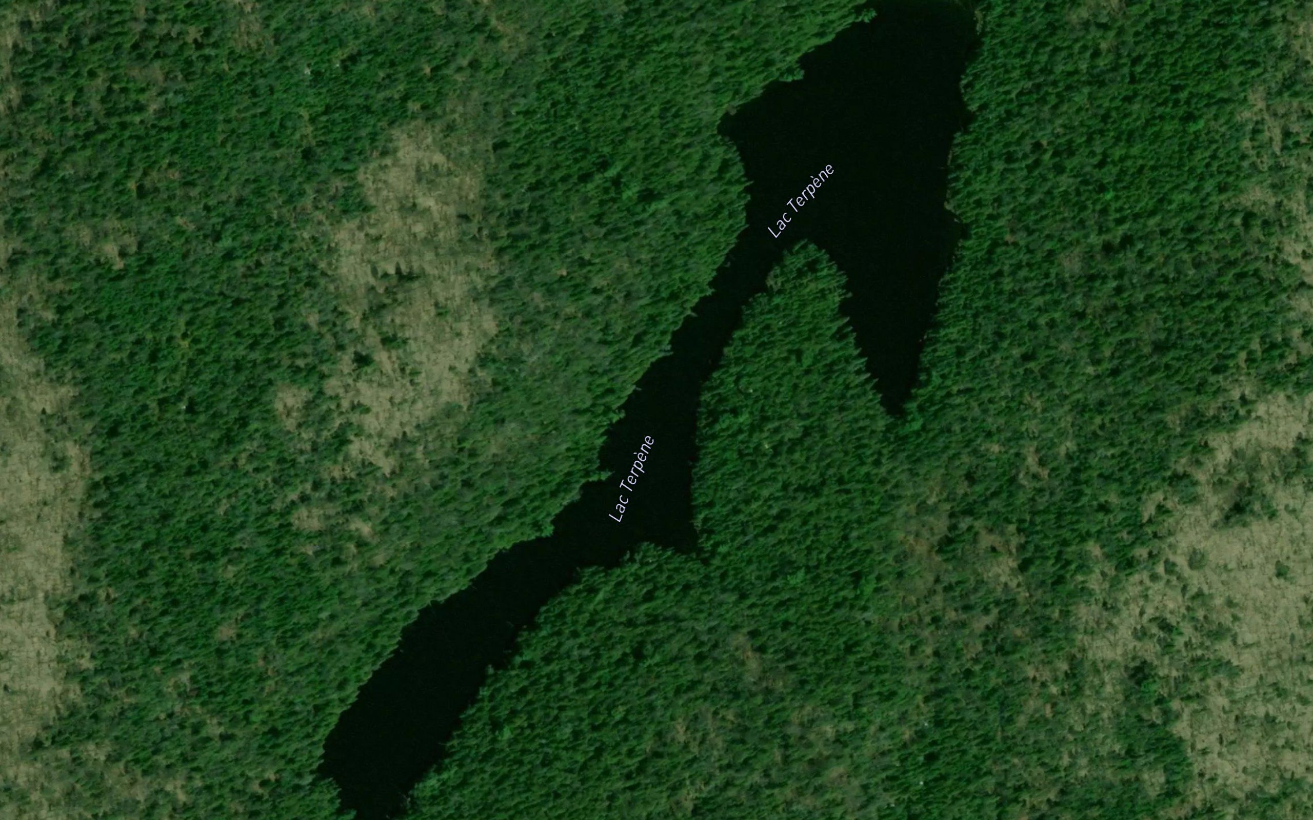 Lac Terpene