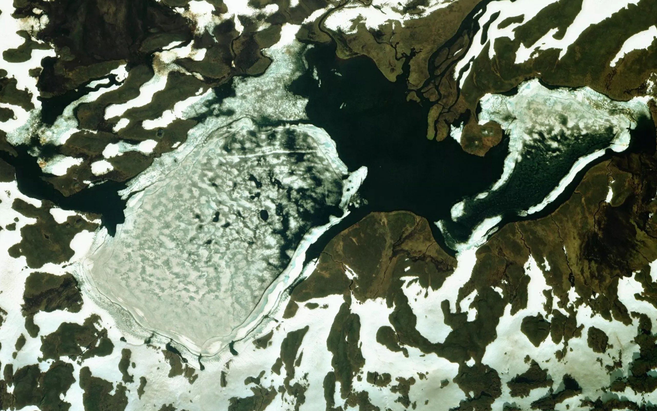 Skohppoljavri