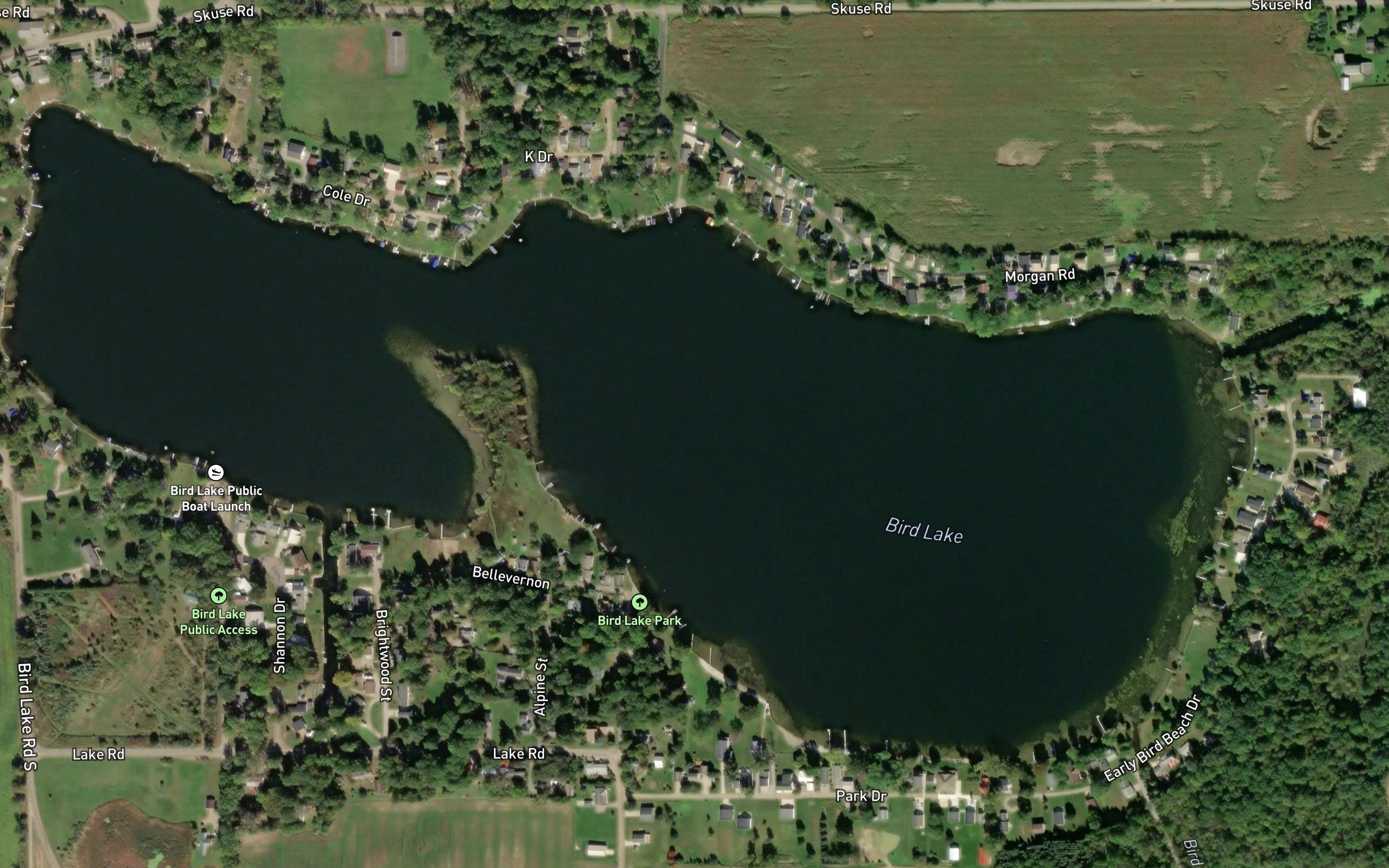 Bird Lake