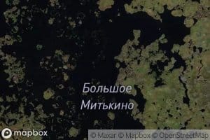 Ozero Bol'shoye Mit'kino