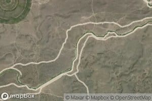 Lateral X-4