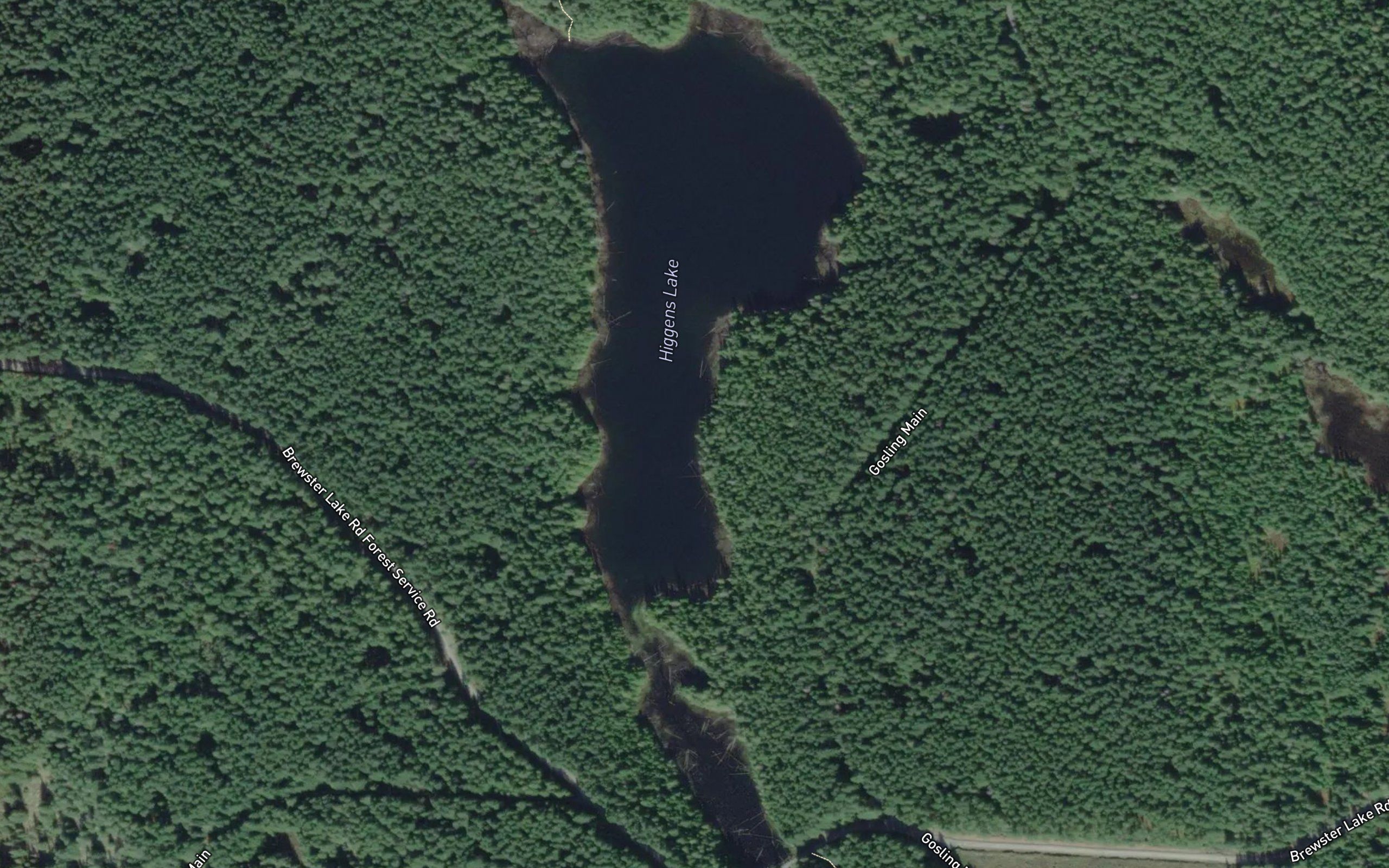 Higgens Lake