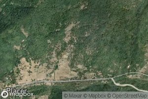 Browning Spring