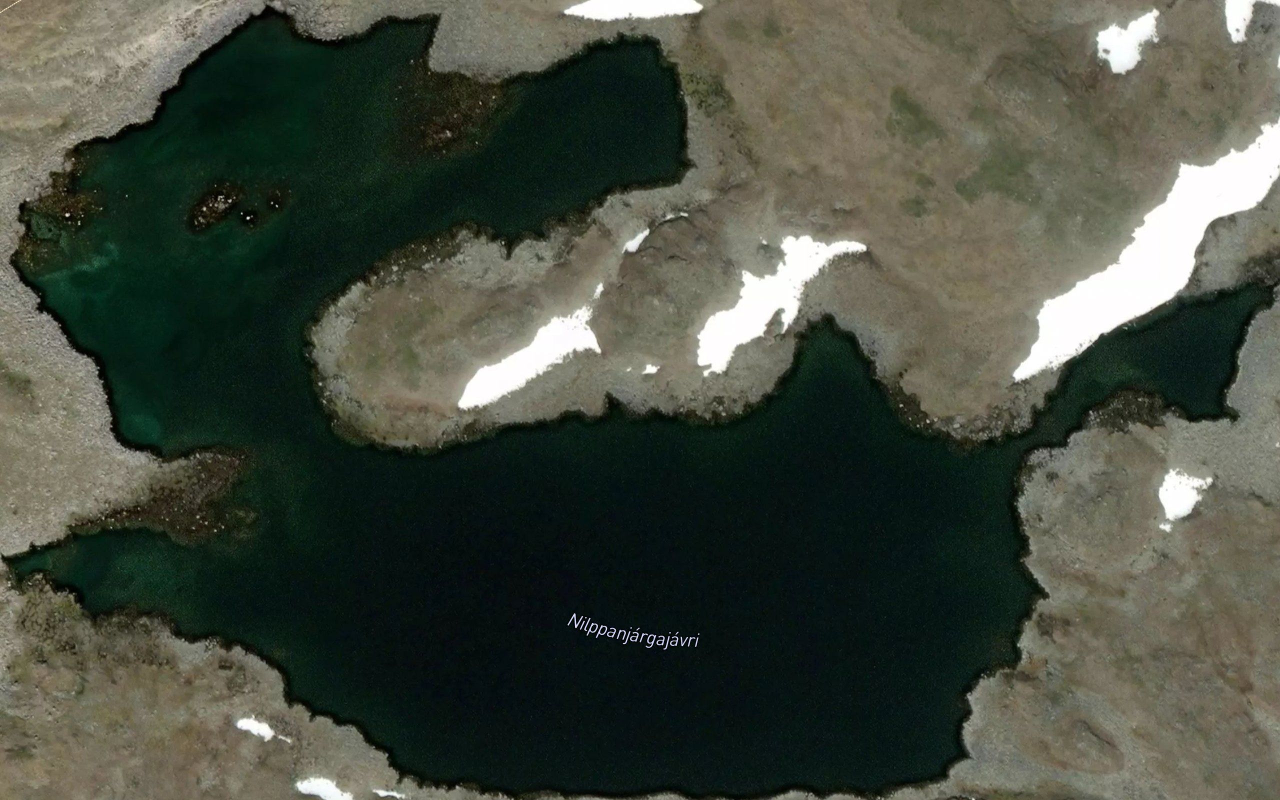 Nilppanjargajavri