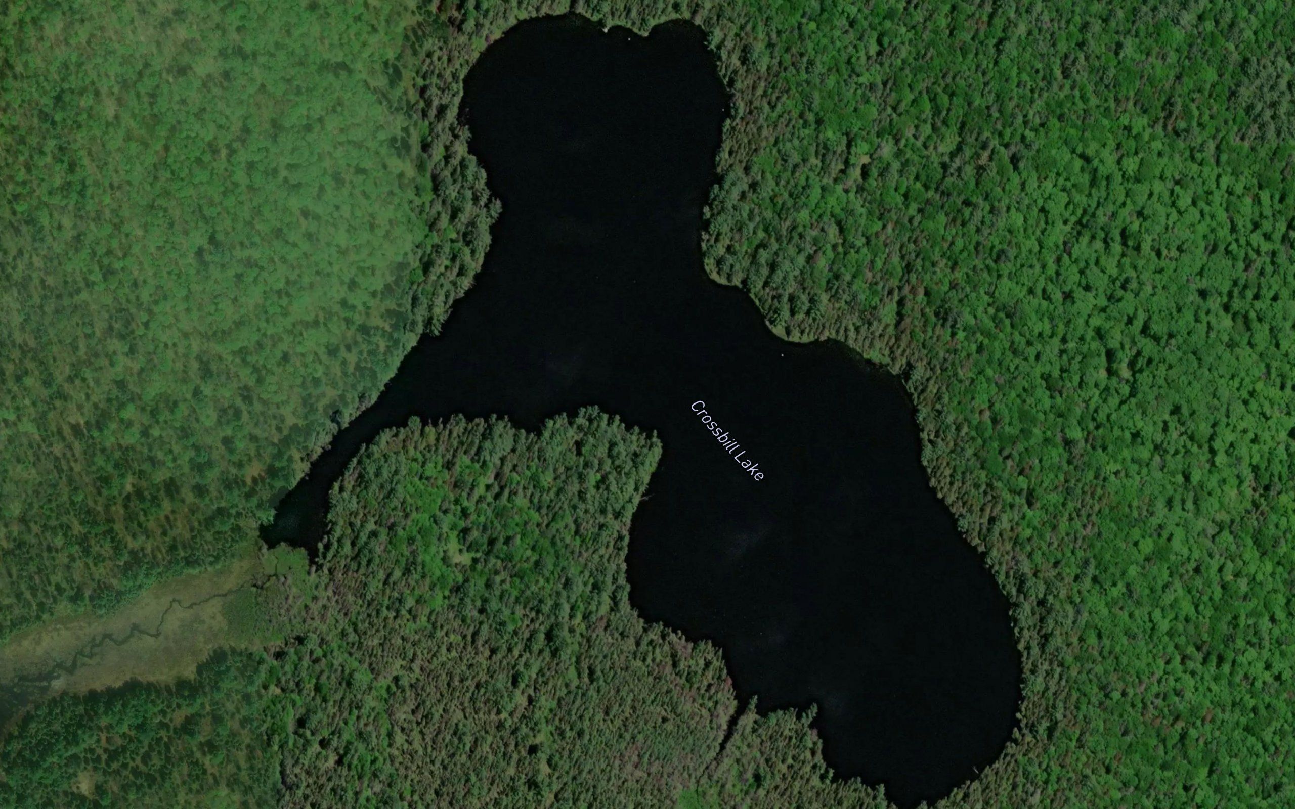 Crossbill Lake