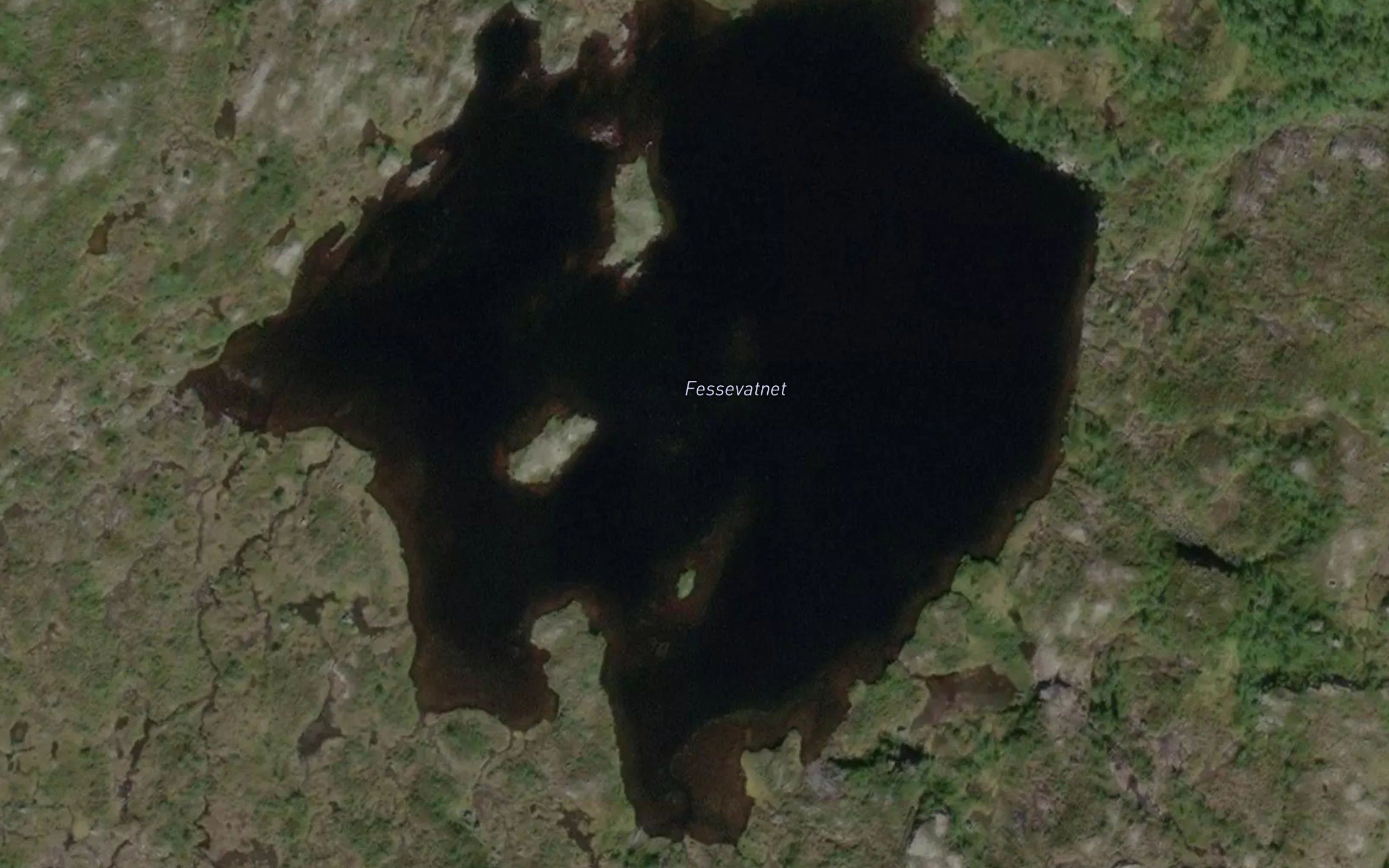 Fessevatnet