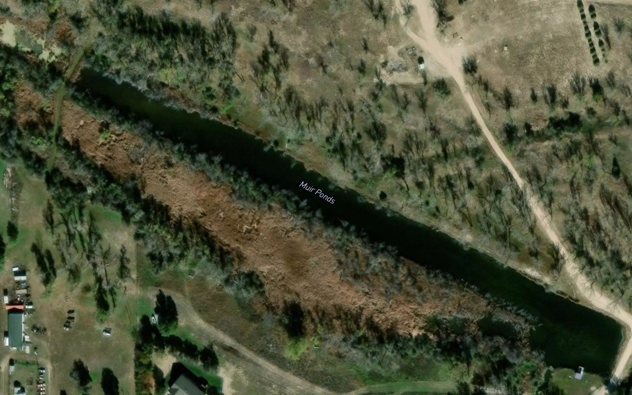 Muir Ponds