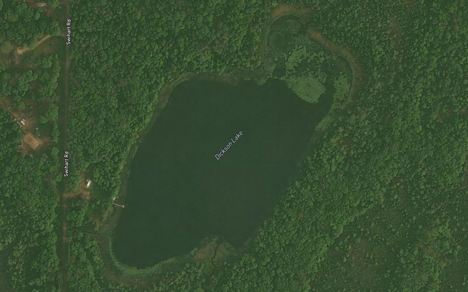 Satellite map of the Dickson Lake