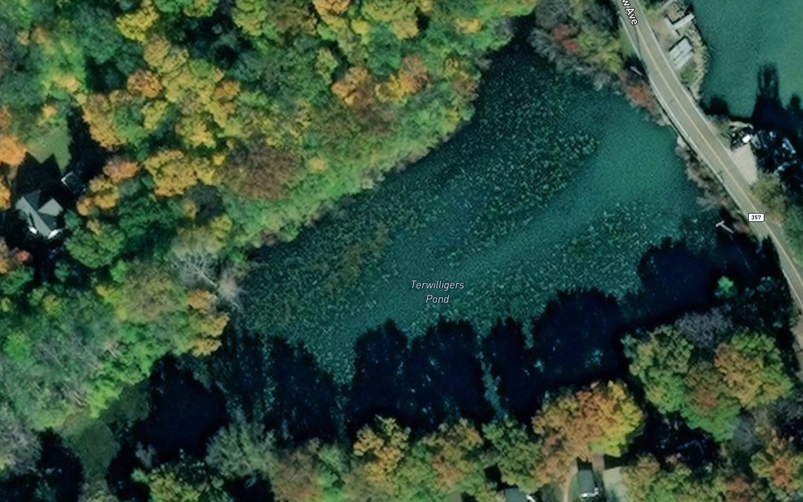 Terwilligers Pond