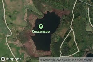 Cossensee