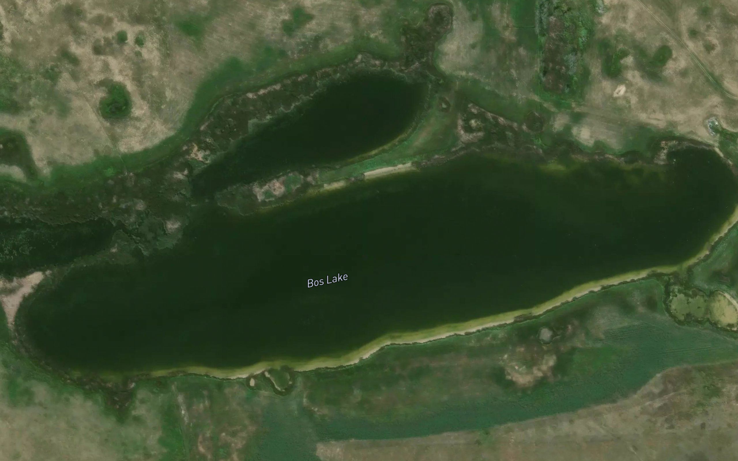Bos Lake