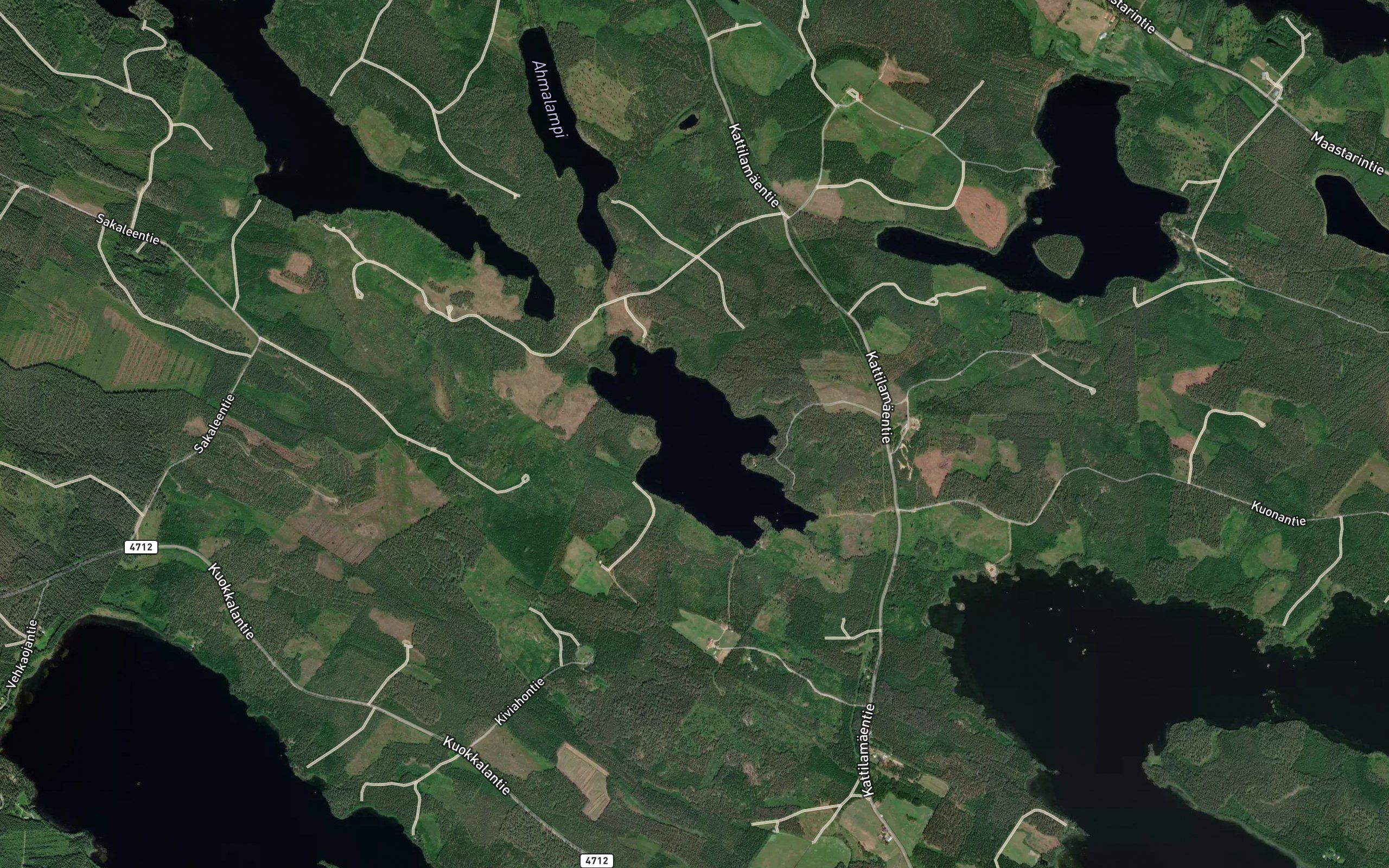 Paahinen