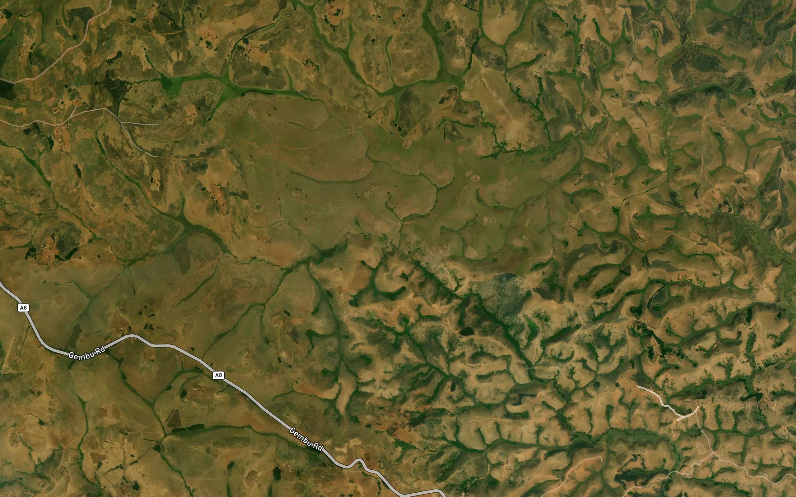 Limberu