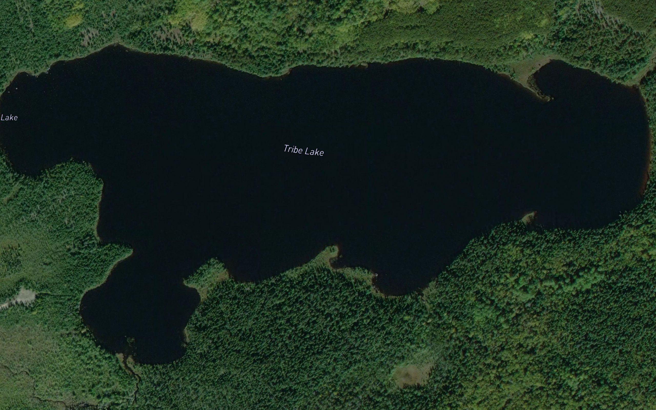 Tribe Lake