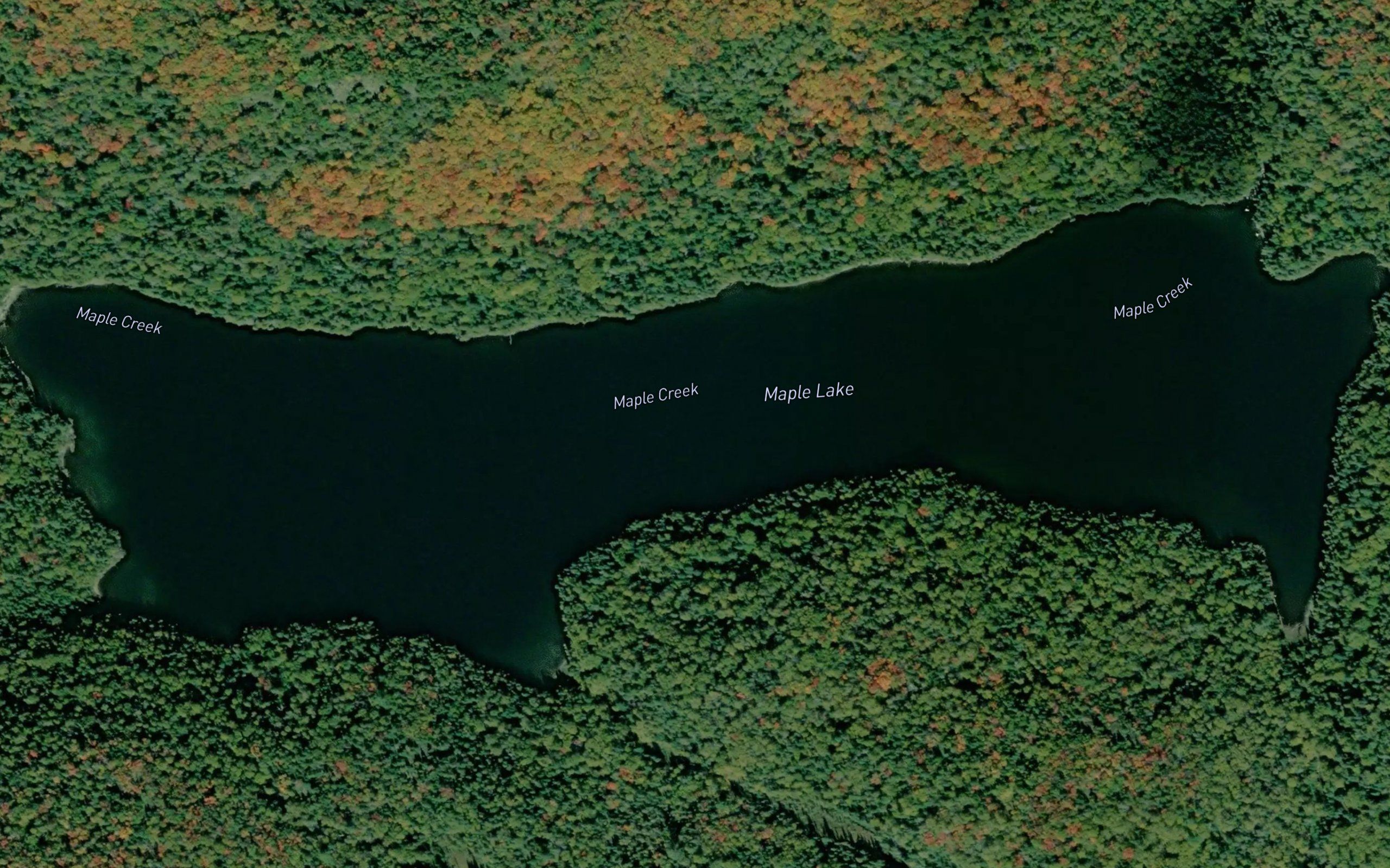 Maple Lake