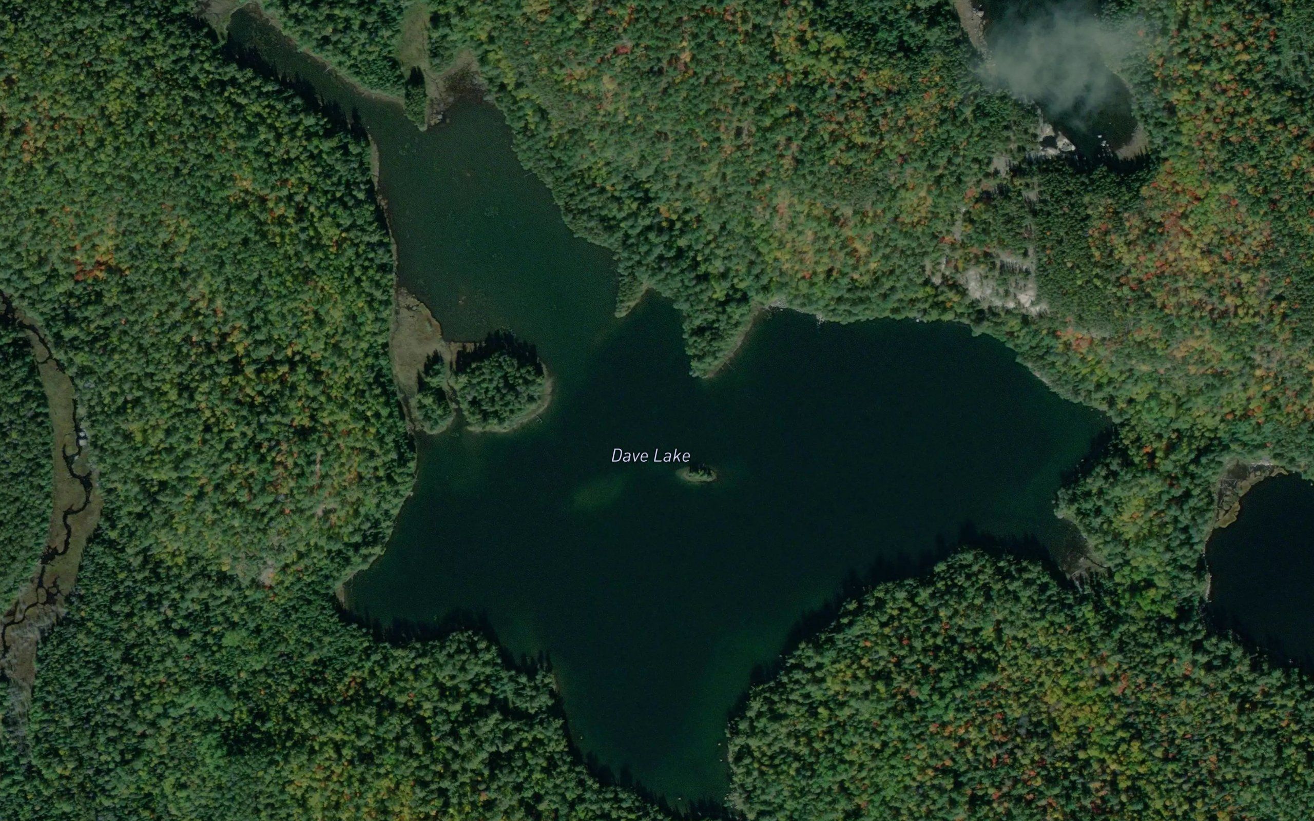 Dave Lake