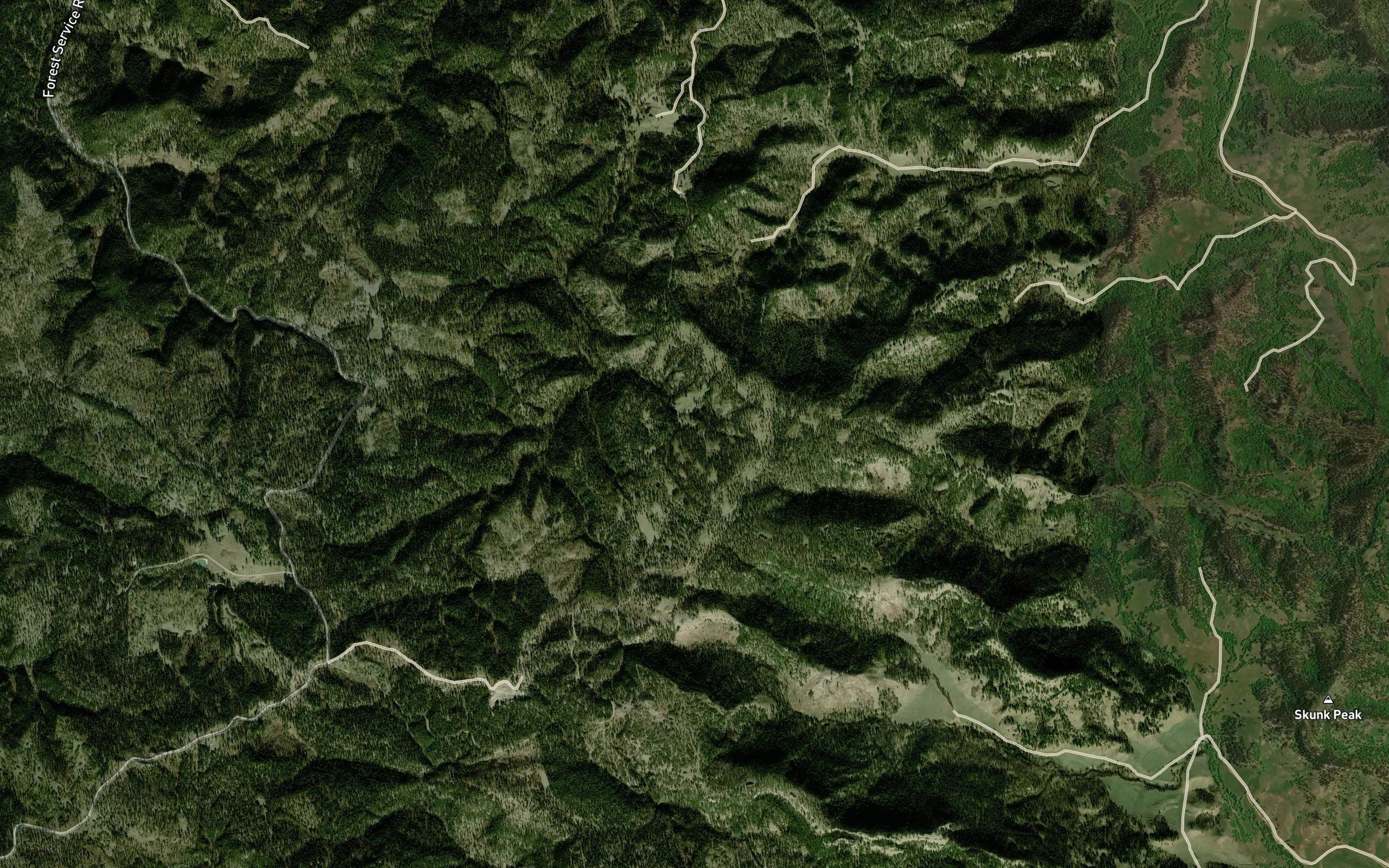 Merrick Spring