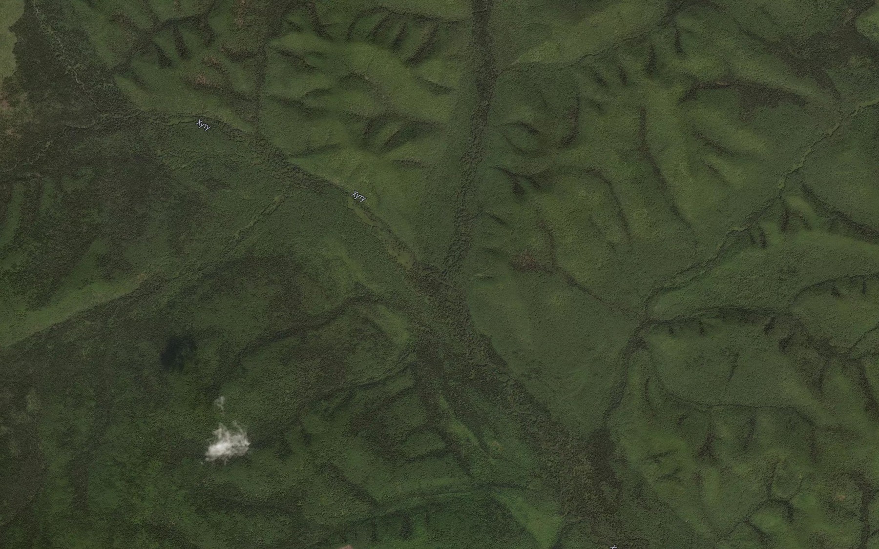 Satellite map of the Puyaki