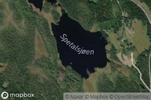 Spetalsjoen